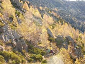 photo coins arrondis